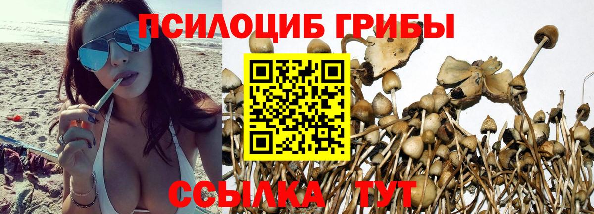 Псилоцибиновые грибы прущие грибы Избербаш